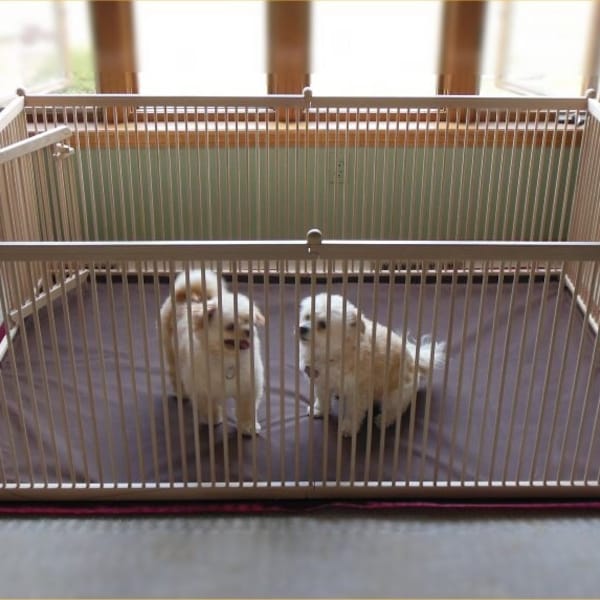 6'x4' Extra Large Indoor Dog Exercise Pen