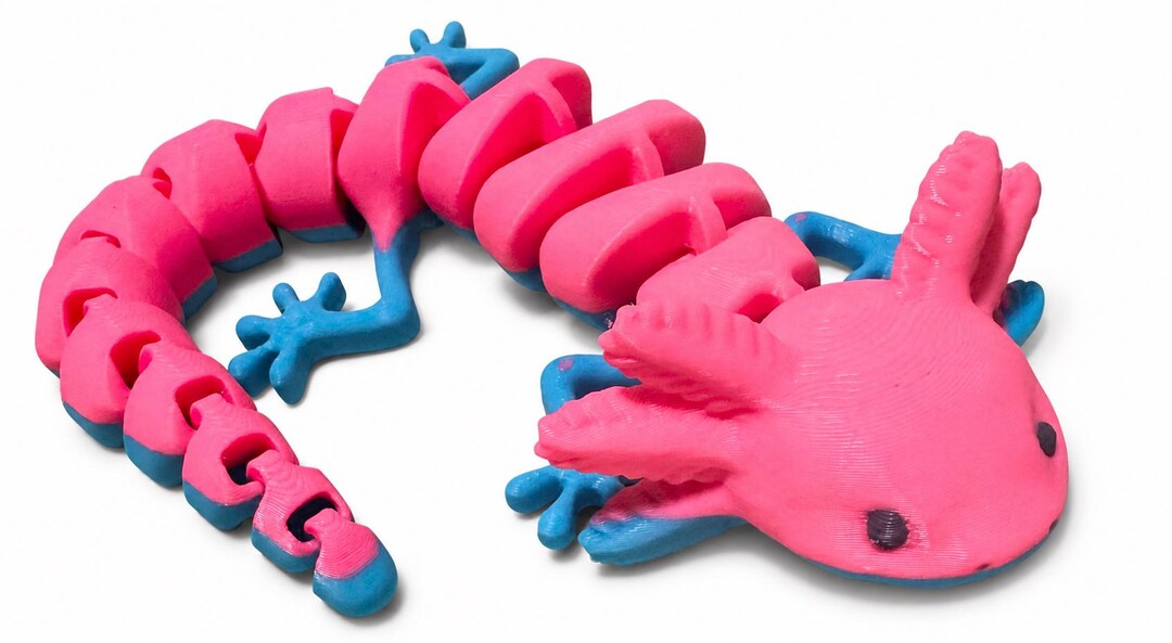 Axolotl Toy Articulated Flexi 2 Color Sensory Toy 3D Printed - Etsy