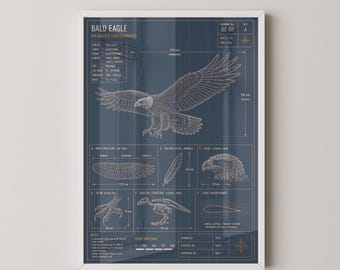 Bald Eagle Blueprint Technical Print | Wildlife Technical Drawing Wall Art Poster | Bird Lover Gift | Nature Wall Art