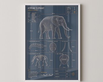 African Elephant Blueprint Technical Print | Wildlife Technical Drawing Wall Art Poster | Nature Gift