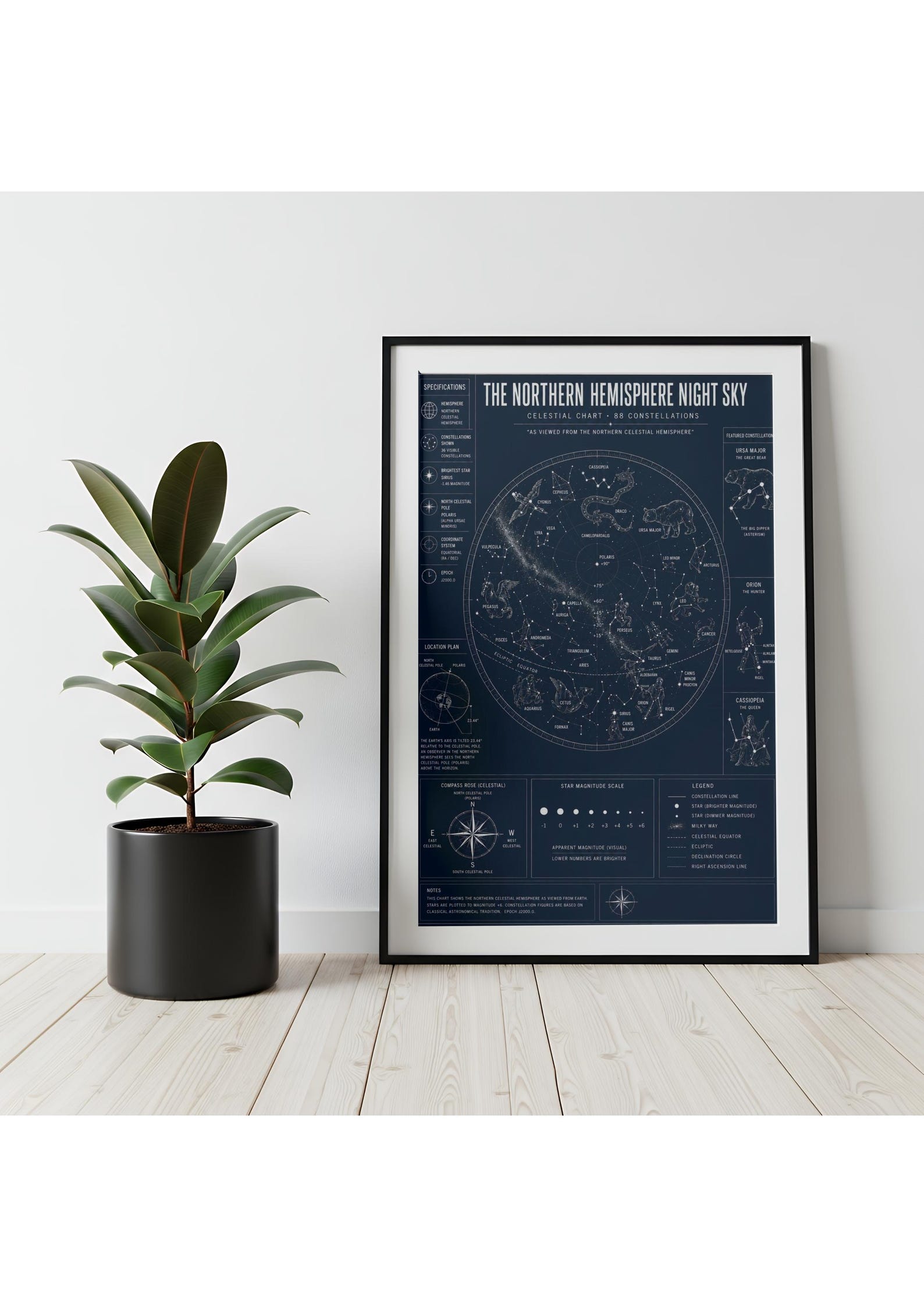 Northern Hemisphere Star Chart