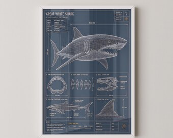 Great White Shark Blueprint Technical Print | Marine Biology Wall Art Poster | Ocean Wildlife Gift | Nautical Decor