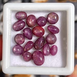 Op de afbeelding: Een verzameling gepolijste robijn edelstenen in verschillende vormen en maten, van ovaal tot druppelvormig. De edelstenen, in tinten rood en roze, worden gepresenteerd in een witte, vierkante container, die hun natuurlijke glans benadrukt.