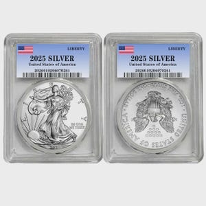 American silver eagles coins - Etsy 日本