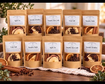 Mix & Match Bulk | Simmer Pot Kits | 10-Pack