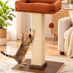 May include: A cat scratching post featuring a square, dark wood base, a tall central pillar wrapped in light beige sisal rope, and a rectangular, rust-orange fabric-covered platform on top. A small, round, rust-orange pom-pom toy hangs from the side.