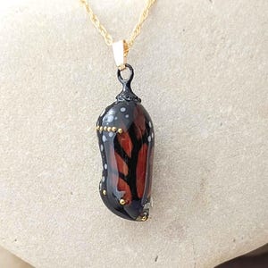 Collar de crisálida de mariposa monarca hecho a mano con oro de 24k - Joyería única de mariposa para amantes de la naturaleza - Regalo artístico con mensaje ecológico para salvar a la mariposa monarca