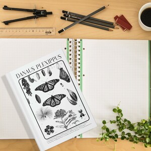 Monarch Butterfly Hardcover Journal, Monarch chrysalis, Danaus Plexippus, Gift for naturalist, nature lover, plant lover, entomologist