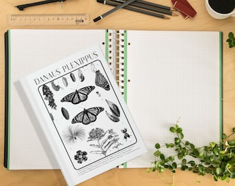 Monarch Butterfly Hardcover Journal, Monarch chrysalis, Danaus Plexippus, Gift for naturalist, nature lover, plant lover, entomologist