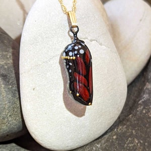 Handmade Monarch Chrysalis Necklace with 24k Gold - Unique Butterfly Jewelry for Nature Lovers - Artistic Gift Save the Monarch Eco Message