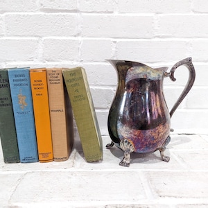 Può includere: Una collezione di libri d'epoca con titoli come "The Stolen Husband" e "The Mountain Girl" accanto a una brocca d'argento. I libri sono in vari colori, tra cui verde, blu, arancione e beige. La brocca ha un manico e dei piedini decorativi.