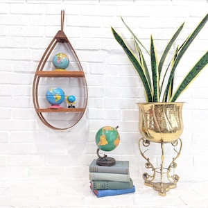 May include: A wooden teardrop-shaped shelf with two tiers, holding three globes. The shelf is hanging on a white brick wall. A potted snake plant in a gold planter sits on a gold stand to the right of the shelf.