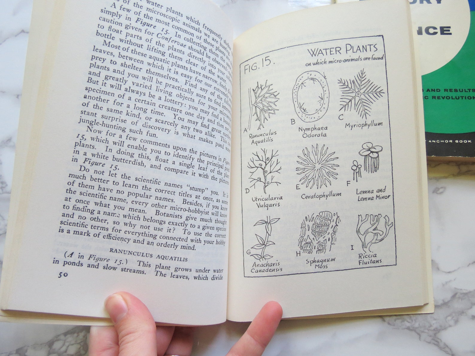 Vintage Science Books // Lot of Three Paperback Science Etsy