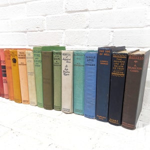 16 Colorful Antique Books // Instant Collection of Rainbow Hardcover Books Rustic Novels Bookshelf Fillers Library Decor Wedding Props