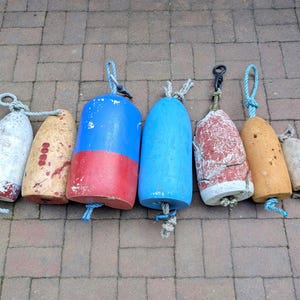 May include: A collection of seven cylindrical nautical buoys of varying sizes and colors, including weathered white, tan, blue, red, and orange foam textures. Each buoy features a rope loop at the top for attachment, with some showing signs of wear.