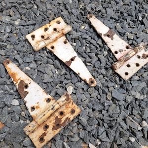 May include: Three metal T-hinges with a weathered white painted finish and visible rust patches. Each hinge features a rectangular mounting plate with multiple pre-drilled screw holes and a long, tapered strap attached by a central cylindrical barrel.
