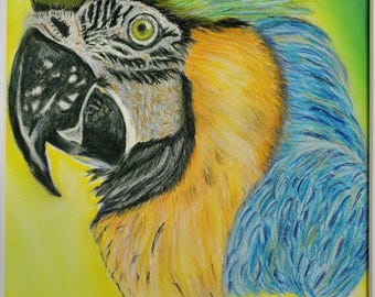 Kleurrijke papegaai, gedigitaliseerd, passend bij mijn pasteltekening, handgemaakt, gesigneerd, origineel
