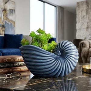 May include: A blue ceramic nautilus shell planter filled with green succulents. The planter sits on a dark marble table, with books and eyeglasses in the foreground. The background includes a blue sofa and a window.