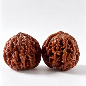 May include: Two brown walnuts with highly textured, deeply grooved, and irregular shells. The pair of nuts are positioned side by side, displaying a polished, glossy finish across their complex, organic, and rounded exterior surfaces.