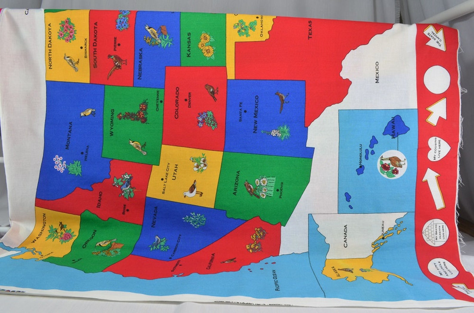 LARGE Map Panel Map Fabric United States US Map Classroom Etsy