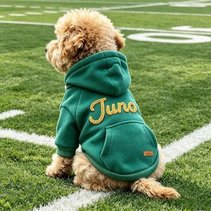 Op de afbeelding: Een groene hondenhoodie met een capuchon, een kangoeroezak en de naam Juno geborduurd in geel cursief schrift op de rug. Het kledingstuk heeft een kleine rechthoekige bruine patch op de zak en geribbelde boorden aan de mouwen.