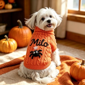 Custom Halloween Pet Sweater with Name, Cat Dog Name Spider Jumper, Handmade Puppy Supplies, Doggy Festival Dress Up, Dog Lover's Gift