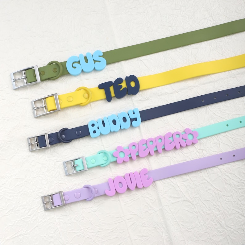 Anpassat namngivet halsband och koppelset för husdjur, vattentätt halsbandset för hundar, hundberlock i PVC med bokstav, färgglatt valphalsband, present till hundälskare bild 8