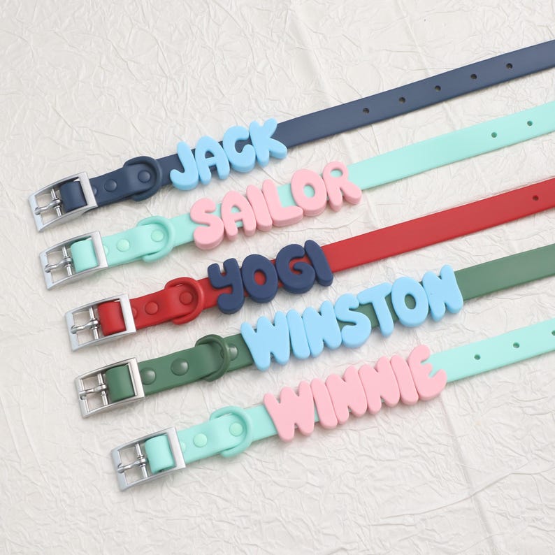 Anpassat namngivet halsband och koppelset för husdjur, vattentätt halsbandset för hundar, hundberlock i PVC med bokstav, färgglatt valphalsband, present till hundälskare bild 4