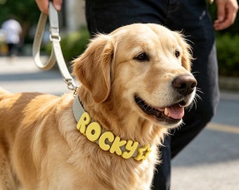 Conjuntos de collar y correa personalizados para mascotas, conjunto de collar impermeable para perros, dije de PVC con letra para perro, collar colorido para cachorros, regalo para amantes de los perros