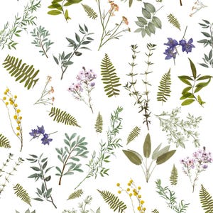 May include: A botanical illustration featuring a variety of green and yellow leaves, ferns, and flowers on a white background. The image includes sprigs of purple, pink, and yellow flowers, and various leaf shapes.