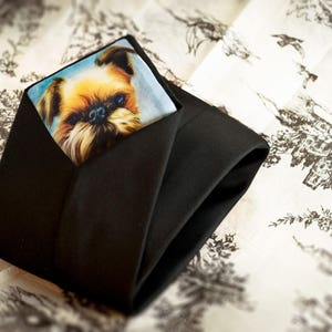 Custom PeekaBoo tie with YOUR photo hidden inside. Cotton Anniversary gift, Boudoir gift, new dad gift, 2nd Anniversary gift image 9