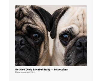 Grumble Lo-Fi Pug Fine Art Print | Roly & Mabel Study - Inspection | Unframed Matte Poster | Lo-Fi Study Decor