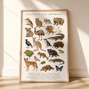 May include: A framed educational poster titled AUSTRALIAN ANIMALS featuring numbered illustrations of twenty-three native species including a kookaburra, koala, kangaroo, and platypus, with a corresponding list of names printed at the bottom.
