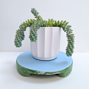 Op de afbeelding: Een vetplant met lange, hangende stengels in een witte keramische pot op een lichtblauwe betonnen voet.