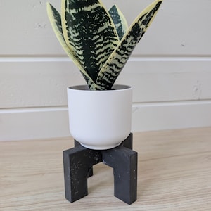 May include: A snake plant with dark green and yellow variegated leaves potted in a smooth white cylindrical container. The container rests on a black, four-legged, cross-shaped wooden stand with a matte finish and visible wood grain texture.