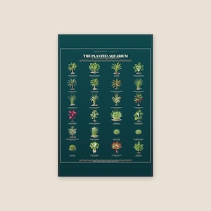 Tabella di identificazione delle piante d'acquario - Poster botanico vintage / Decorazione murale per acquario piantumato / Arredamento per acquari