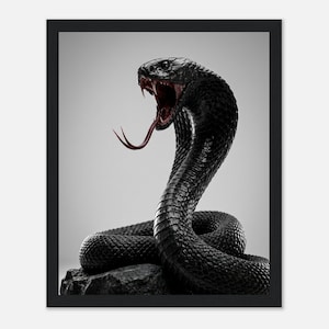 Könnte beinhalten: Ein gerahmter Wandkunstdruck, der eine glänzend schwarze Kobra mit weit geöffnetem Maul zeigt, das ein dunkelrotes Inneres und eine lange, gespaltene Zunge enthüllt. Die Schlange ist auf einem strukturierten dunklen Felsen vor grauem Hintergrund.