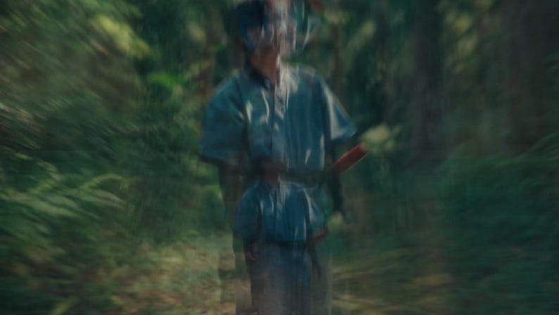 May include: A person in a blue shirt and pants, holding a red object, possibly a sword, in a blurred forest setting. The image has a soft focus, with green foliage in the background.