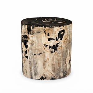 May include: A cylindrical side table crafted from a single piece of petrified wood. The surface displays a natural, polished finish with a striking contrast between deep black sections and light beige, cream, and grey wood grain patterns.