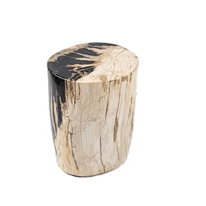 Könnte beinhalten: Zylindrischer Hocker aus versteinertem Holz. Die Oberseite ist schwarz und braun, während die Seiten hellbeige sind und natürliche Holzmaserungen aufweisen. Ein einzigartiges Dekorationsstück.