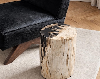 Puede incluir: Una mesa auxiliar cilíndrica hecha de una sola pieza de madera petrificada, con un exterior de color beige claro natural con grietas profundas y una superficie superior pulida en negro y crema con patrones de vetas orgánicas.