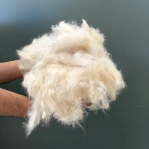 May include: A large, fluffy clump of raw, off-white wool fiber. The material has a soft, fibrous, and voluminous texture with visible loose strands and a natural, unrefined appearance, showcasing the raw state of the animal-derived textile.