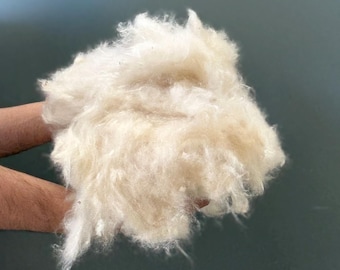 Könnte beinhalten: Ein großes, flauschiges Büschel aus roher, cremeweißer Wolle. Das Material hat eine weiche, faserige und voluminöse Textur mit sichtbaren losen Strähnen und einem natürlichen, unbearbeiteten Aussehen, das den Rohzustand zeigt.