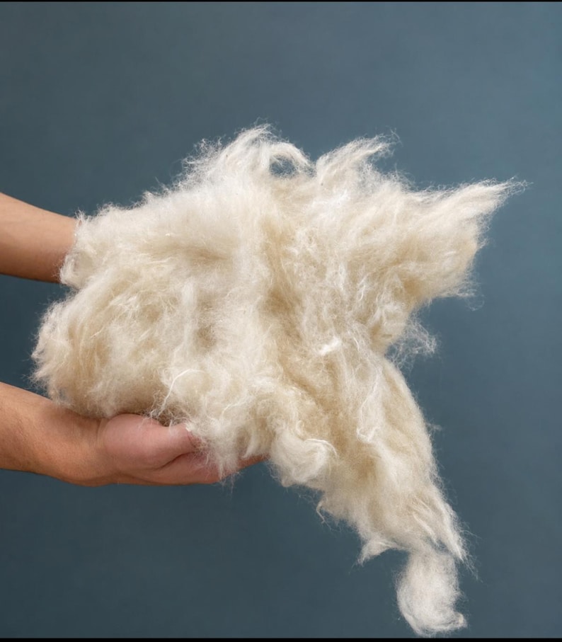 May include: A large, fluffy mass of raw, off-white wool fibers with a soft, crimped texture. The material appears loose and unspun, showcasing the natural, airy quality of the raw fleece with visible individual strands and tangled clusters.