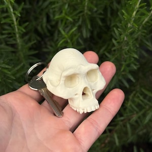 May include: A cream-colored, 3D-printed primate skull keychain featuring a detailed cranium, eye sockets, and teeth, attached to a standard silver-toned metal split ring with a single metal key inserted into the ring mechanism.