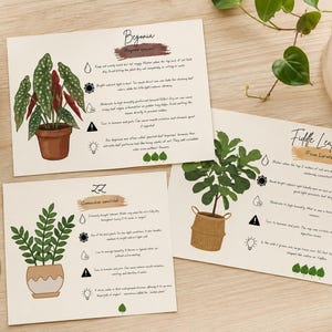 Puede incluir: Cuatro tarjetas ilustradas de cuidado de plantas sobre una superficie de madera clara. Las tarjetas presentan dibujos de plantas como Begonia, planta ZZ y Fiddle Leaf Fig, con instrucciones de cuidado e iconos. Las tarjetas son beige con ilustraciones marrones y verdes.