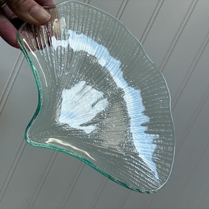 Op de afbeelding: Een doorzichtige glazen schaal in de vorm van een waaier of schelp, met een getextureerd oppervlak en stralende lijnen die van de basis naar de geschulpte rand lopen. Het glas heeft een subtiele lichtgroene tint langs de buitenrand.