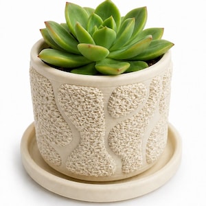 May include: A green succulent plant potted in a cylindrical cream-colored ceramic planter with a textured, raised abstract pattern and a matching circular saucer. The text "Linda HOME DECORATION" is printed in black in the bottom right corner.