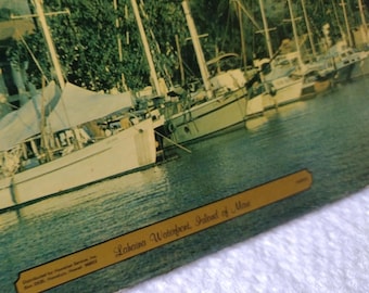 Vintage Hawaii Hot Pad, MCM Cork Trivet, Lahaina Waterfront Maui