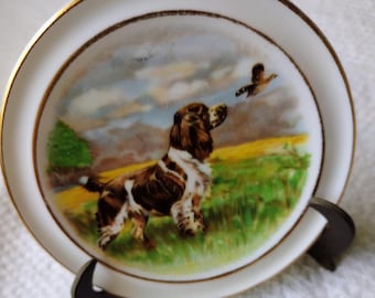 Vintage Butter Pat Plate, Pointer Motif Trinket Dish, Royal Vale